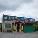 유자먹인민물장어