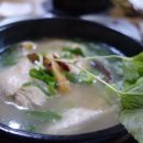 산야초와심마니