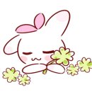 미사바이오포톤