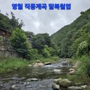 2026년 8월 9일(일) - 영월 직동계곡 말복다림 철엽 이미지