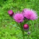 한미약국 이미지