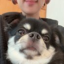 철이네한판집 | 일산 라페 브런치 맛집 라이크라이크 /철이네 한판집 후기