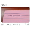 령이래쉬 | 250805-0808, 위시 일본콘 당첨. 이렇게 또 거지가 된다고? 효자들아 고맙다