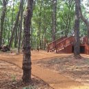 파주시유아숲체험원 이미지