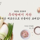 보배김치