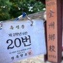 좀비피자 | 전주, 역사 속 밤마실 2026 전주국가유산야행 방문 후기 / 향교괴담, 경기전 좀비실록, 견훤대왕배 씨름