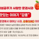 문경온천 1공원 이미지