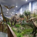 덕소자연사박물관 이미지