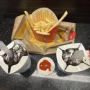 세븐일레븐 양산플라워점 | [싱가포르여행] 싱가포르 4박 5일 여행후기 - 1일차/2일차/V라벤더 호텔후기, 트래블로그카드