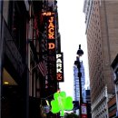 용성손짜장 이미지