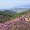 한국기행/ 5월엔 남도랑께 -- 1부. 초록에 맛 들다 ~ 5부. 달려라 순천만 이미지