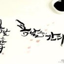 캘리그라피 Daum카페