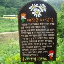 대장금마실길(1코스) 이미지