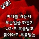 샬롬 - 순천시 | 샬롬