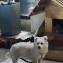 동해웰빙레포츠타운 테니스장 이미지