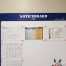 스위밍차일드 이미지