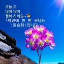 대곡산 Daum카페