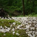 길사이언스 이미지