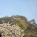 [어린이]우리 화폐로 알아보는 한국사 | ● 파주 아이랑 주말 가볼만한 오두산통일전망대 (feat.어린이체험관이 있다니. 벚꽃구경)