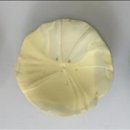 흙마을공예 이미지