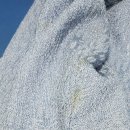 얼룩빼기 이박사 이미지