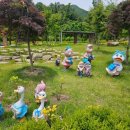 대봉산자연휴양림 이미지