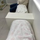 진수동물병원 네이버블로그