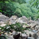 지리산대성골그집