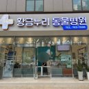 황금누리동물병원 이미지