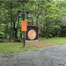 우리집 막둥이 이미지