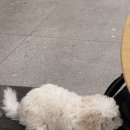 숙카페