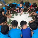 송석초등학교병설유치원 이미지