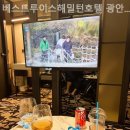 베스트루이스해밀턴호텔 광안점 이미지