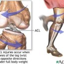 공덕인과한의원 이미지