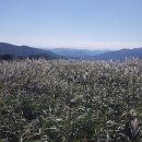 예나공인중개사사무소 이미지