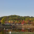 미란다관광호텔 이미지