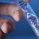 (주)아이디엔 | 임신초기 태아 친자검사 궁금증들