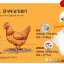 가슴살보다 닭다리가 살 찔까?…부위별 칼로리는? 이미지