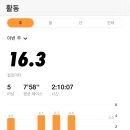 경안천 4 | 데카트론 3만원대 득템 후기와 8월 4주차 기록 분석 (내돈내산 | 금학천, 용인미르스타디움)