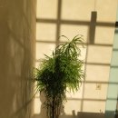 생각정리 글쓰기 | [생각 정리] 이 '글쓰기'는 사실 별게 없는, '그냥' 하는 '작은 것'일뿐이다 (2/23)