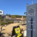 숨앤티