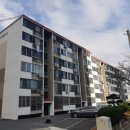 완월동146 이미지