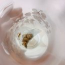 커피헵시바 이미지