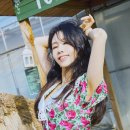린지 이미지