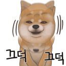 다이스키 스시 이미지