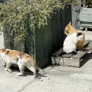 더끌림펜션 이미지