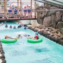 온천스파벨리 이미지