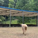 늘솔길근린공원양떼목장 이미지