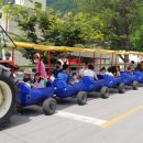 테마투어(목장 체험) 이미지