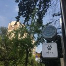 라운지독 이미지